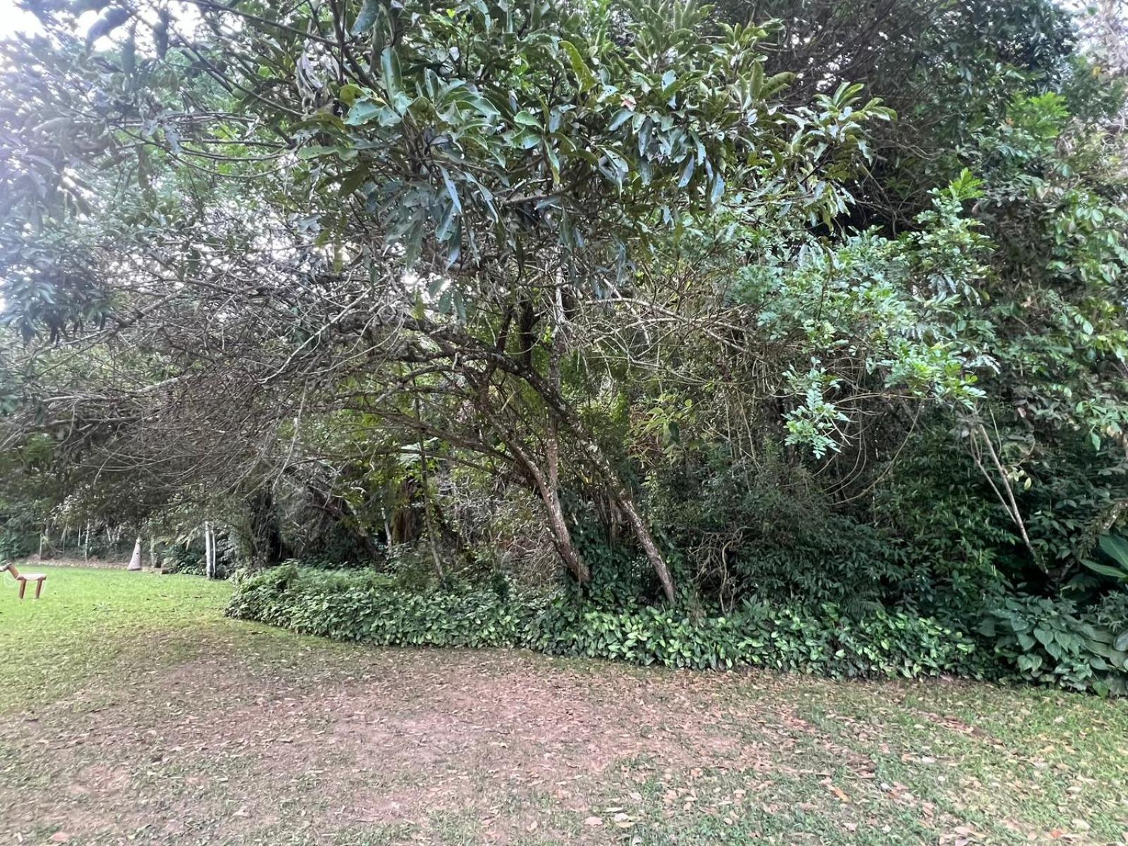 Pousada Candonga Da Serra Tiradentes Exteriör bild